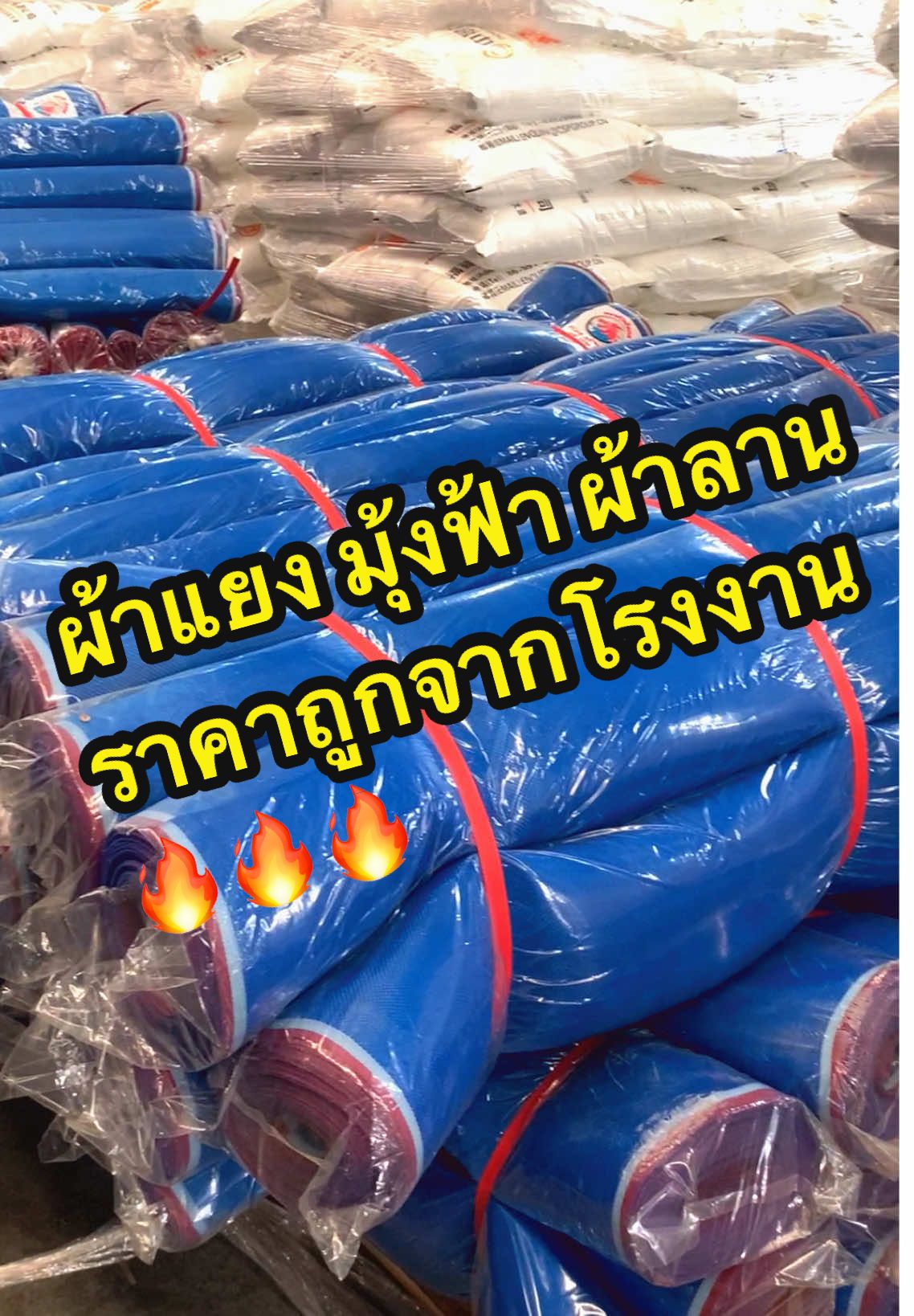 #สินค้าเกษตรราคาถูก #ผ้าแยง #ผ้าแยงตากข้าว #ผ้าลาน #มุ้งไนล่อนฟ้า #มุ้งไนล่อน #มุ้งฟ้าตาข่ายเขียวอุปกรณ์การเกษตร #มุ้งฟ้า16ตา #มุ้งฟ้าไนล่อน16ตากันแมลง #มุ้งเขียวตากข้าว #มุ้งเขียว #มุ้งเขียวอเนกประสงค์ #ลานตากข้าวโพด #ของดีบอกต่อ #เปิดการมองเห็น 