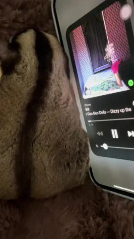 🎧 #iris #music #4u #fyp 