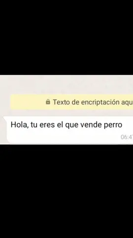 venta de perros • | #calzoski #keyler #risas😂😂😂 #meme #whatsapp #humor #perro 