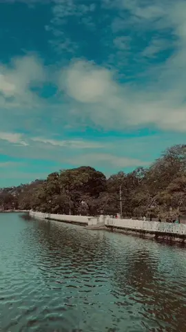 මියෙන තුරා ලං වී හිදිමූ...!😭🤍 | Background වීඩියෝ හොයන ඔයාටමයි ලස්සන ළමයෝ මේ video එක... #tharuupage #backgroundvideo #quotes #sinhalaquotes #clouds #sunset #whatsappstatus 