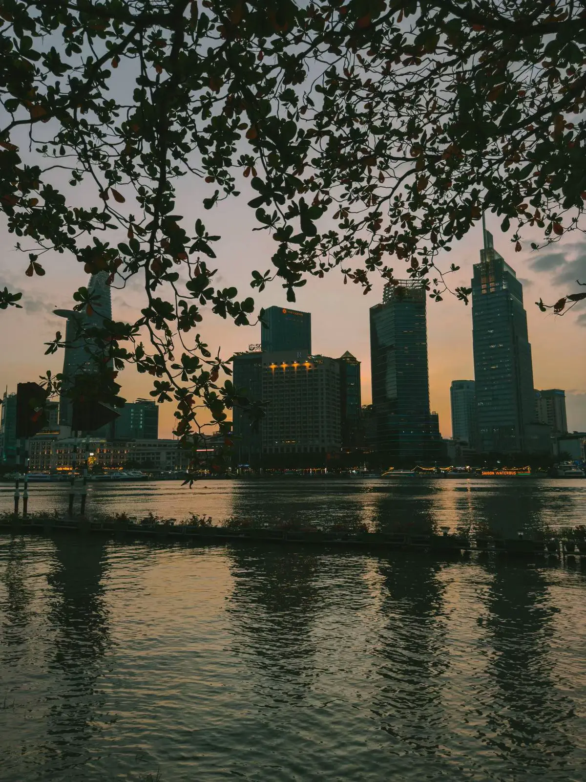 Các bạn lên Sài Gòn lập nghiệp có ổn không… #saigon #xuhuong 