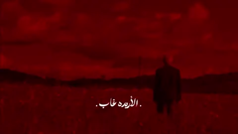 الأريده غاب ..!! #سيد_سلام_الحسيني #fyp #explore 
