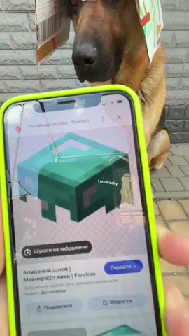 Птичку взглядом 