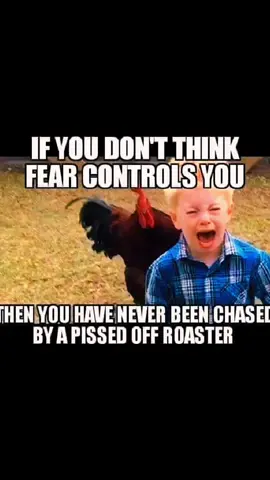 #foryoupage #facts #messedup #farm #country 