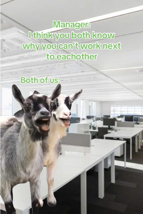#MemeCut #memenatal #memecut #meme #fypage #comedy #comedyvideo #funny #emails #workemails #worklife #work #officememes #trending #fy #workmeme #recruitment #viral #fyp #foryou #office #officememe #tootrue #relatable #real #employee #officehumour #MemeCut #memenatal #adhd #tootrue #notmyproblem #Meme #MemeCut #memenatal #corporate #corportaelife #adhdtok #animal #aniamlmeme #goats #workbestie 