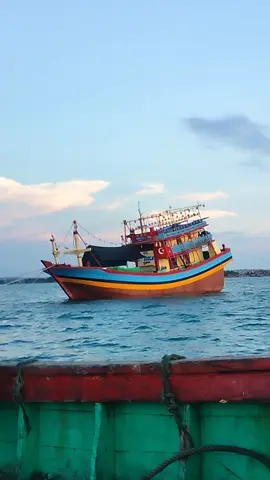 #kmsribungaexpress #nelayansarang #kmsribunga 