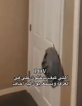 #تيك_توك #سالم🇸🇦_ #humor #fyp 