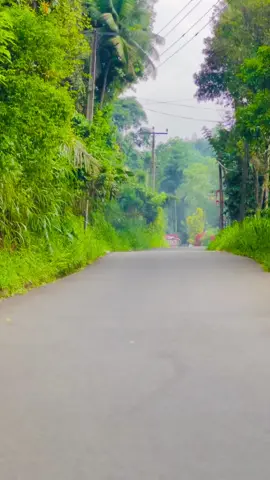 මං හරිම ආදරෙයි රත්තරං 💐⚡️💐