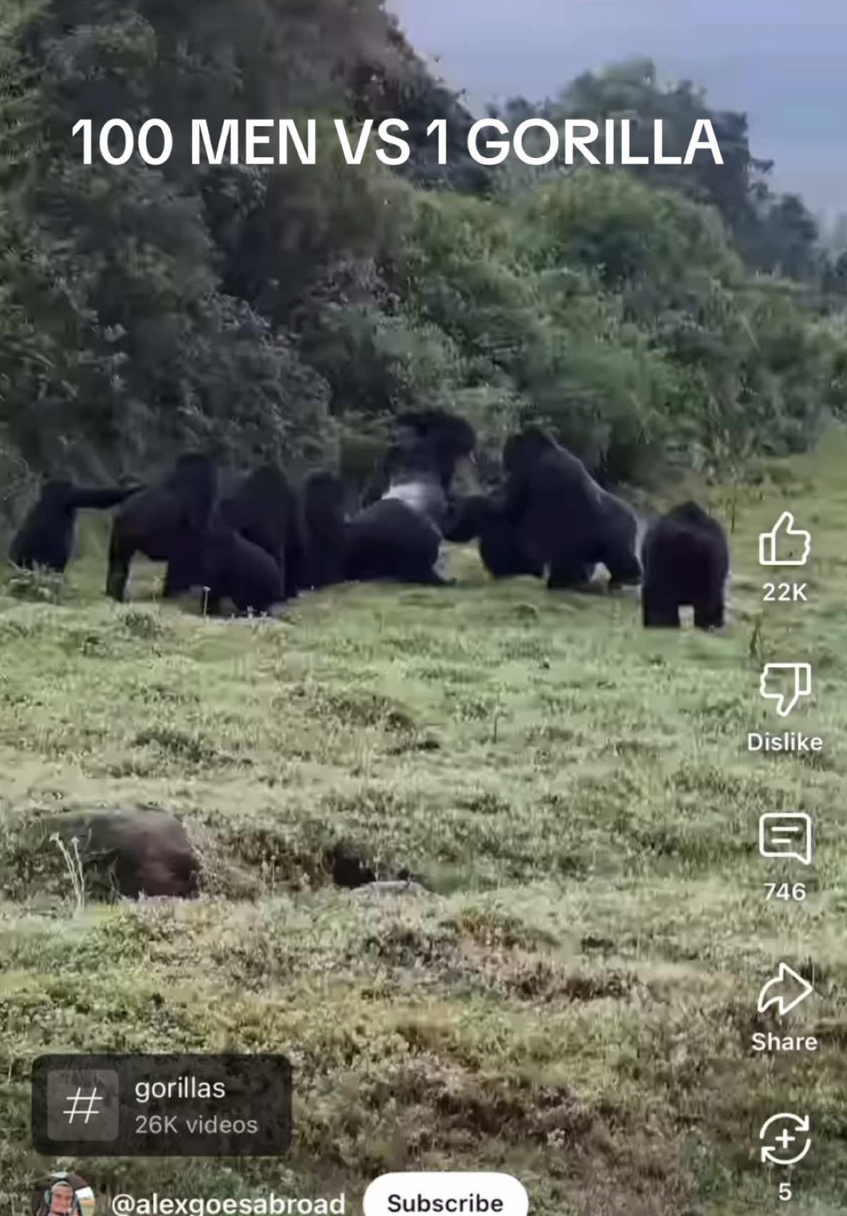 Gotta get in on this topic. I PRAY we get a level 1 knuckle dragger       #tarzan #wemightgetoneshotted #gorilla #apes #apestogetherstrong #mentogetherkindastrong