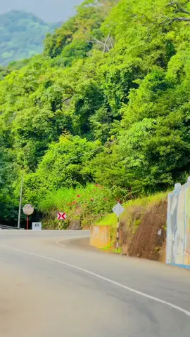 තනී අලියා 😈🐘 Dhanushka Motors - පාලමිහන්දිය 