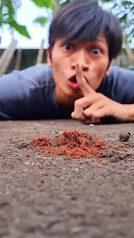 Candy on the ground #xuandongvlog #asmr #funny #food 