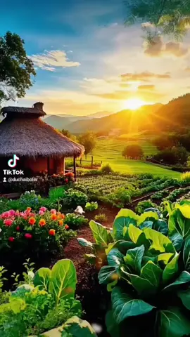 #🌴🪻🎼duchai63🪻🌴 #bolero_music #canhdepthiennhien🌴 #nhachaymoingay🎧 🎼🪻🌴