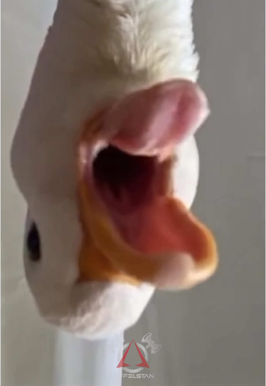 Replying to @dolittlewz The return of the 🦆 #warzone #callofduty #verdansk #affelstan  Call of duty warzone: Verdansk gameplay with funny memes added. Using the best graphics and movement settings. 