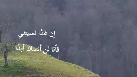 You may leave my days,  but not my heart. #fyp #lovequotes #arabicquotes #missyou #aboutyou #مشاعر 