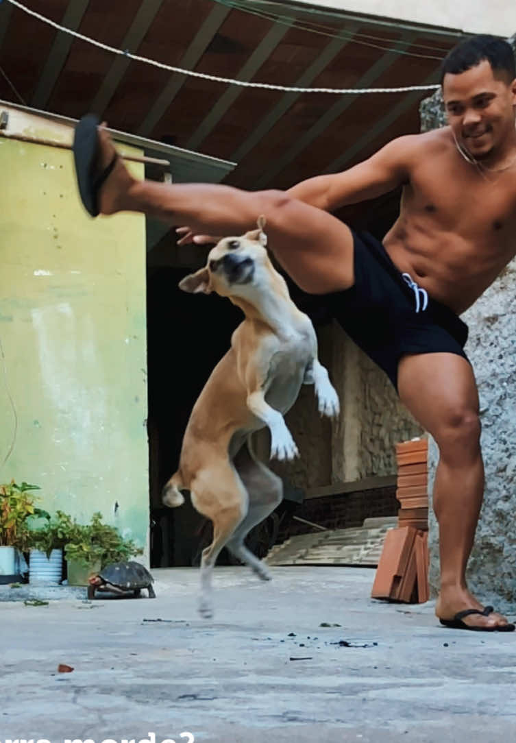 Ela manja dos paranauê  . . . . #capoeira #videosengracados #caramelo #cachorro #jogodecapoeira #riodejaneiro #brazil #fyp 