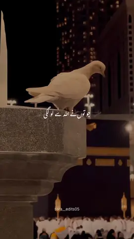 BESHK 💯❤️ . . #unfreezemyacount🙏 #naat #peotry_lover #islamic_line #foryoupage❤️❤️ #fyp #virl #keepsupporting #growmyaccount #newaccountplzsupport #tik_tok #viewsproblem😭 #sara__edits05 @ツ 