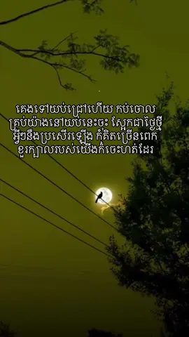 រាត្រី​សួស្ដី​ #viral #memories #foryou #fyp #khmertiktok #trending #fyp #khmertiktok #trending #hurt #feelings #quotes #foryoupage 