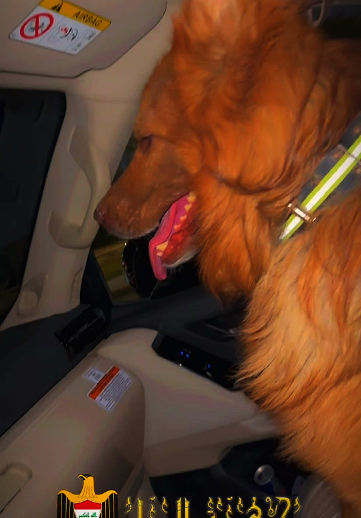 #الشعب_الصيني_ماله_حل😂😂 #العراق #جيرمن #نوادر #تضليل 