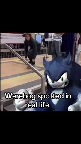 I don’t believe the werehog has been spotted #sonicunleashed #werehog #sonic3 #sonicmeme