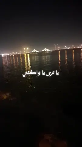 يا ترى يا وحشني #يا_ترى_يا_واحشني_بتفكر_في_مين #أم_كلثوم #كلثوميات #كلثوميات_الليل_☕🎼 #fyp #foryou #foryoupage #طربيات_الزمن_الجميل #اغاني_طرب #طربيات_الزمن_الجميل_🎼🎶🎻♥️🌹 #العشاق #كوكب_الشرق_ام_كلثوم 