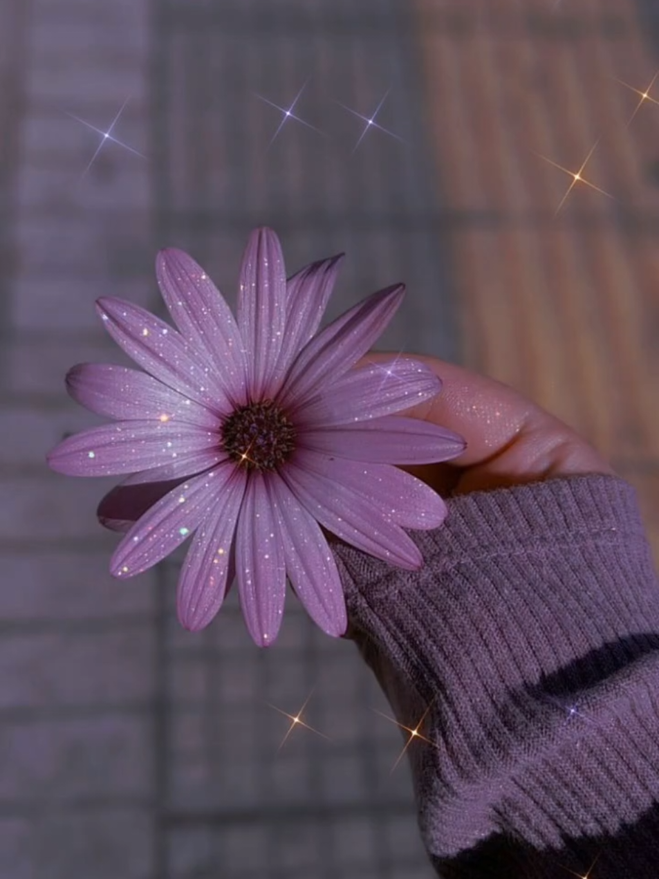 Nature beautiful images💞Flowers in hand dpz #floral #flowers #hand #dpz #images #girls #status #500k #virall #trending #trend #fyp #foryou #fy #foryoupage #500k #angelic4352 #angelic435232 #haidershah #handdpz #nature #lovers #whatsappstatus #girlssupportgirls #like #follow #grow #unfreeze #dp  #music #channdachamke #kajol #wallpapers #profilepics #facebook #instagram #CapCut 