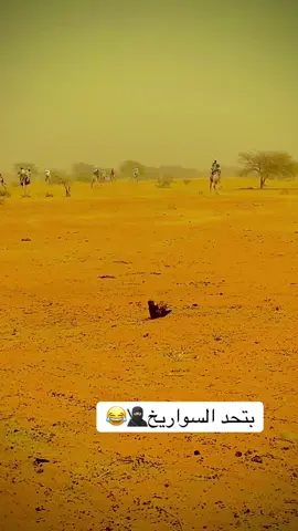 #مشاهير_تيك_توك_مشاهير_العرب #مليون_مشاهدة❤ #اعجباتكم_تفرحناا🥰 