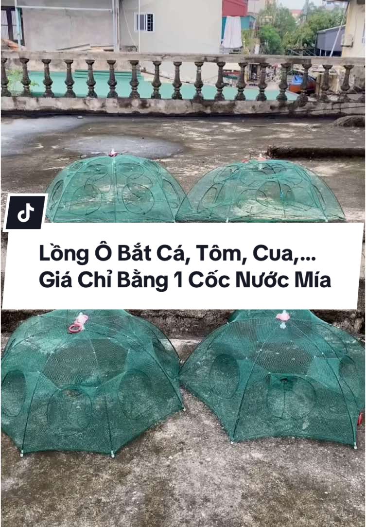 Chỉ Với 1 Cốc Nước Mía, Các Bác Hoàn Toàn Có Thể Mua Được 1 Chiếc Lồng Ô Bắt Cá, Tôm, Cua,.. Siêu Tiện Lợi #diepfishing #long #luoi #ca #luong #tom #trach #cau #batquai #longo # #longbatquai #luoibatquai #docau #xh #xuhuong 