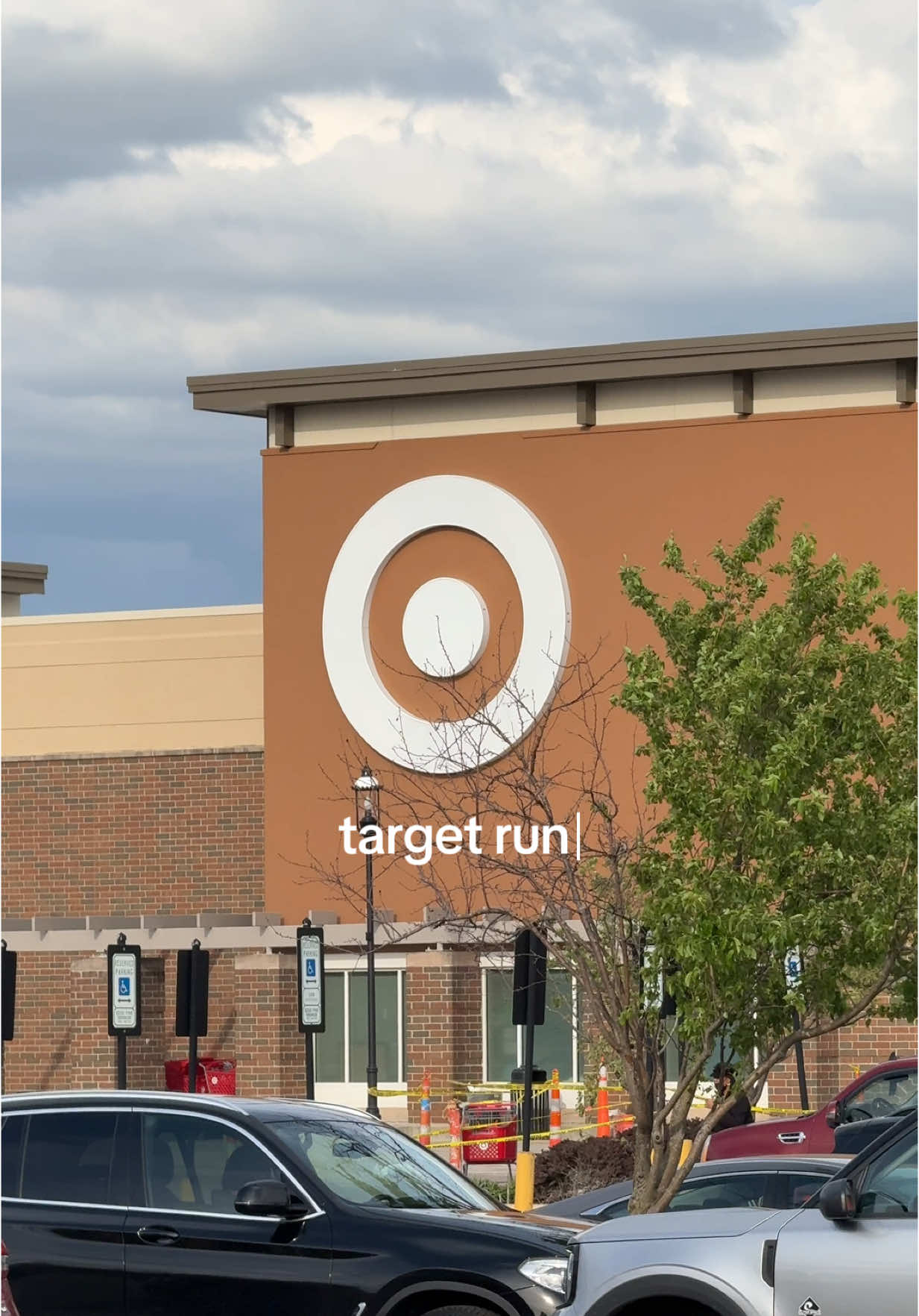probably should’ve got a cart 🥲 every time we go to target we drain the entire @Unwell Hydration strawberry supply  @target @Quirky Kitty @Shop BARK @Cadbury USA @Chobani @Dannon @Perfect Bar  #target #targetfinds #targethaul #targetrun #targetmusthaves #shopping #shoppingvlog #errands #dayinmylife #Vlog #fyp #microinfluencer #contentcreator #grocery #friday #spring 