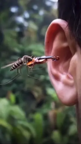 #сезонкомаровскоро#юмор#