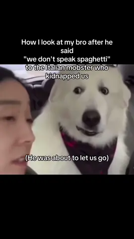 #italy #funnytiktok #memestiktok #spaghetti #fyp 