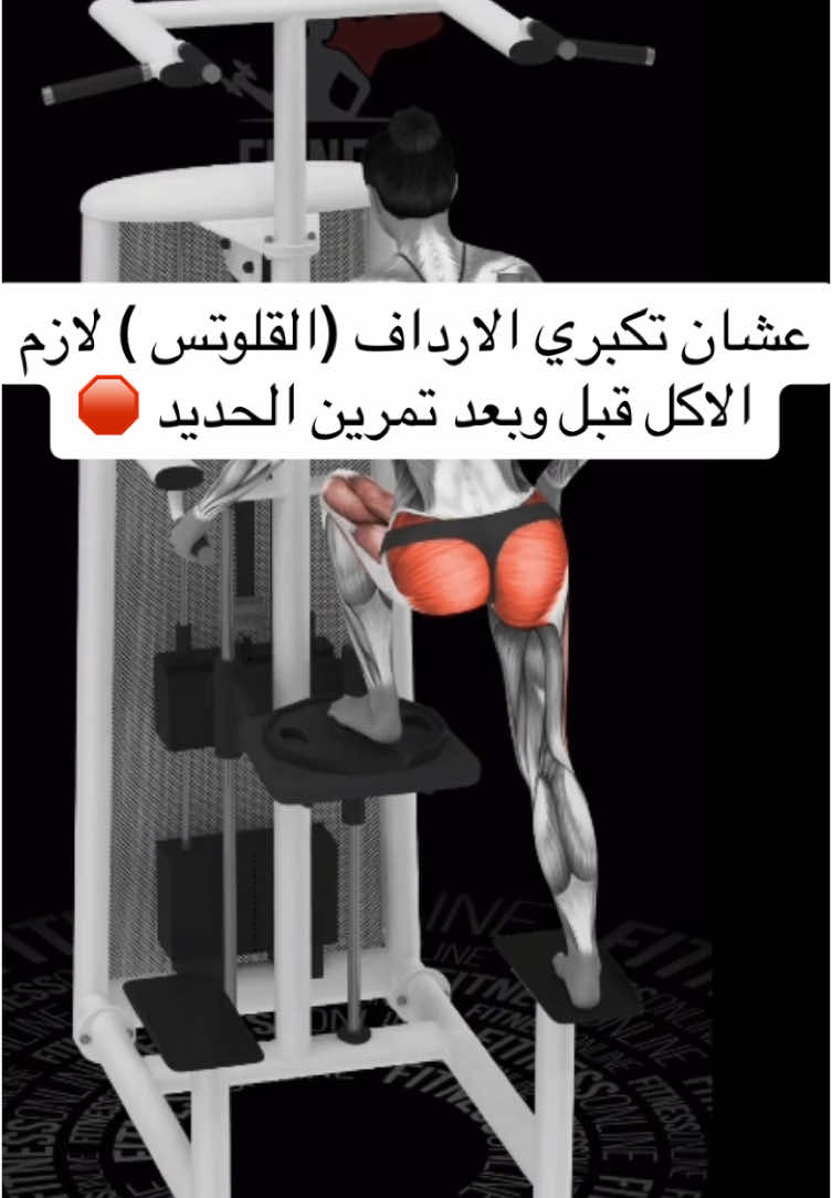 الرد على @tomy hany شير للمقطع عشان تفيدي غيرك 💪🏽 #كارديو_لحرق_الدهون #كارنتين #شد_الارداف🔥 #هيب_ثرست #كرياتين_مونهيدرات #leg_press #مكمل_البروتين #جدول_غذائي_صحي #خفسات_الأرداف #تمارين_ظهر_كامل #كارديو_لحرق_الدهون❤️💪💪🤲🔥_كوتش #تمرين_بايسبس #شد_الارداف🔥 #كارنتين #هيب_ثرست #كارديو_لحرق_الدهون #leg_press #كارديو_لحرق_الدهون❤️💪💪🤲🔥_كوتش #تمرين_فخذ_داخلي #خفسات_الأرداف #تمارين_ظهر_كامل #كارديو_لحرق_الدهون❤️💪💪🤲🔥_كوتش 