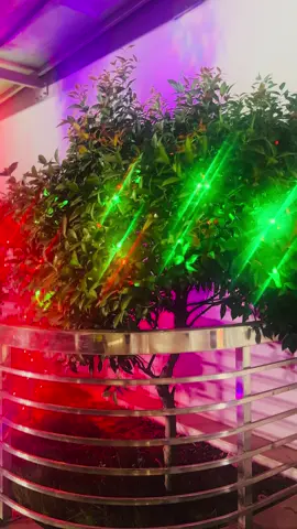 নিশি রাতে চাঁদের আলোয় হারিয়ে যাওয়া এক অনুভব…#চাঁদ#চাঁদেরআলোি#নিশিরাতে#রাতেরশান্তি্#চান্দেররাতোবাসাররাত #Moon#MoonlightVibesn#MidnightMagicc#PeacefulNightn#moonlitdreams #silentnight 