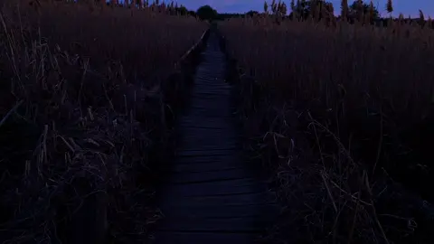 quiet evening, silence, vibe  #real #fypシ゚ #vibes #рек #atmosphere #darkness 