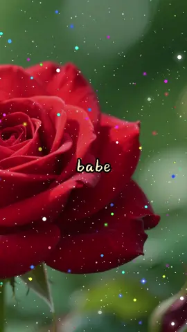 #Love #lovequotes #fypシ 