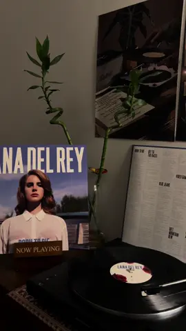 Video games | @Lana Del Rey | #borntodie #borntodielanadelrey #lanadelrey #lanadelreyvinyl #songs #song #lyrics #vinyl #vinylrecords #vinylcollection #fyp  