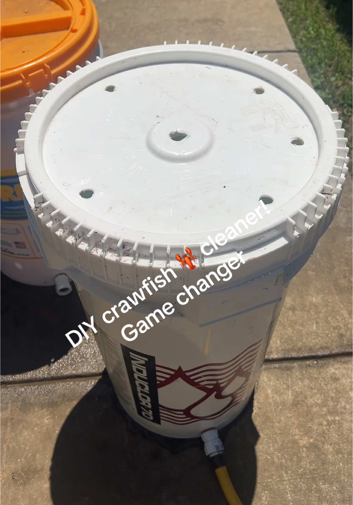 Crawfish cleaning bucket #DIY #crawfish 