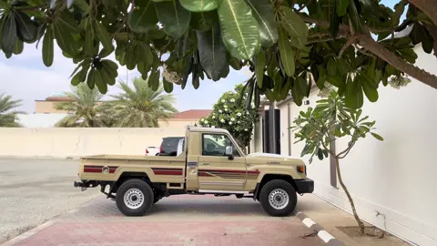 #شاص2025 #اكسبلورexplore #بريمي 