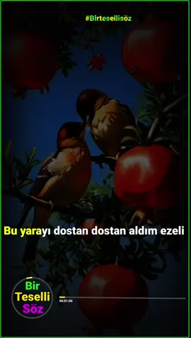 bir dostunu etiketle #birtesellisöz #keşfet 