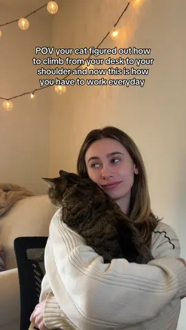 My little Zoom partner  #cattok #cats #girlcat #cuddlycat #clingycat #catsoftiktok #CapCut 