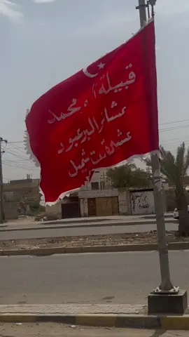 طاح بيرغنه من مات شايبنه💔💔#بيت_شميل #البومحمد_اخوة_باشا #البعبود 