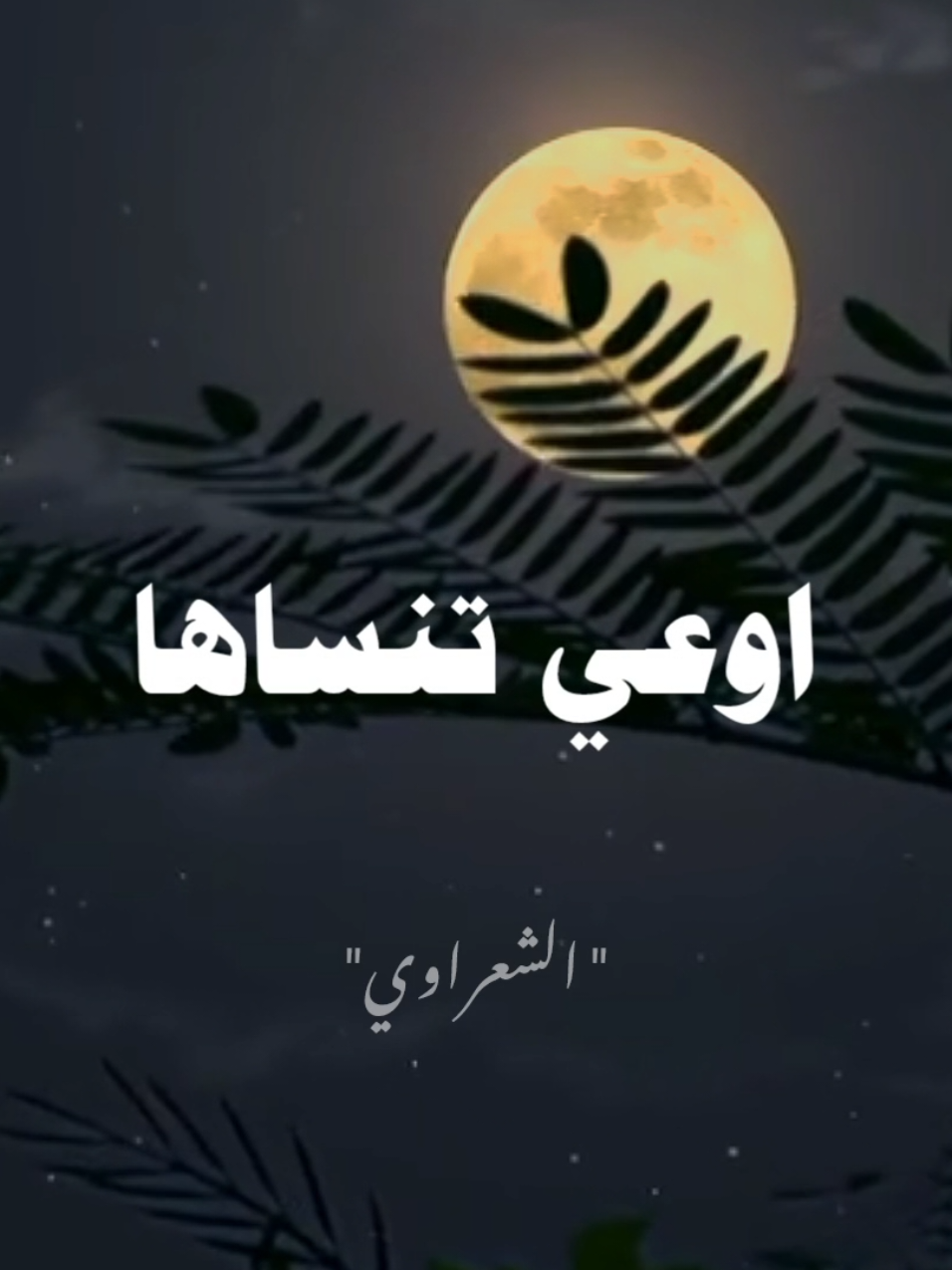 اوعي تنساها... #صلي_علي_النبي #صلوا_على_رسول_الله #الشيخ_الشعراوي 
