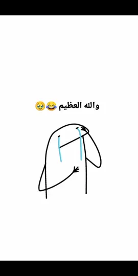 🦟🪰☹️😂😭💔#تصميمي #تصاميم_فيديوهات🎵🎤🎬 #شعب_الصيني_ماله_حل😂😂😂 #مالي_خلق_احط_هاشتاقات #fyp #funnyvideoscomedy #funnyvideo #بك #حشرات
