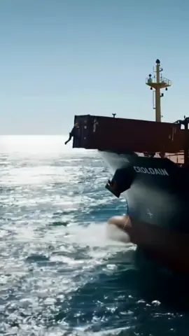 those orders that never chegam #storm #ocean #contenair #tiktoklongs #cargo #fyp #sea #ship #waves 