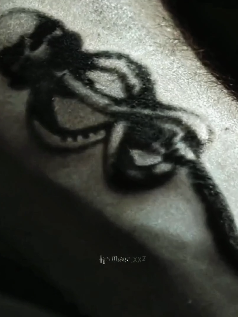 #SLYTHERIN | essa musica é todinha da sonserina | #sonserina #comensais #hp #dracomalfoy 