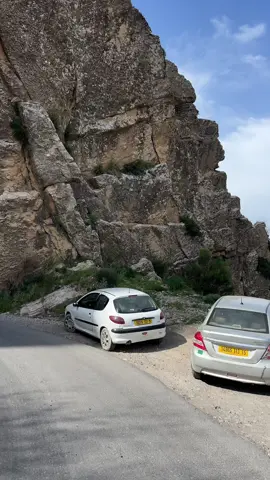 #tiziouzou #tirourda🌲🌲🌲 #michelet #algerie🇩🇿 