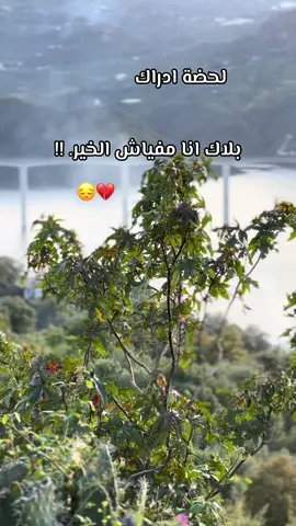 #france🇫🇷 #fybシ #fybシviral #jijel_____algér⚡❤ #video #videoviral 