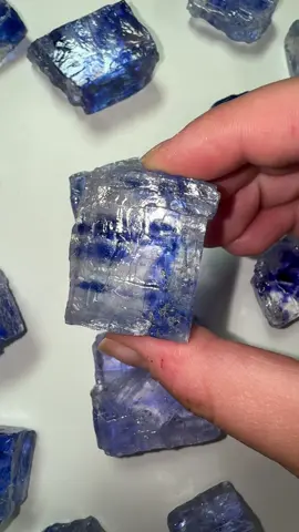 I can’t believe I found some affordable pieces…I honestly want to keep them all🤣 #bluehalite #halite #crystals #newfind #newcrystals #crystalshop #crystalseller #crystalhealing #crystalhealer #crystalcollector #crystallover #rockhound #rockshop #rocklover 