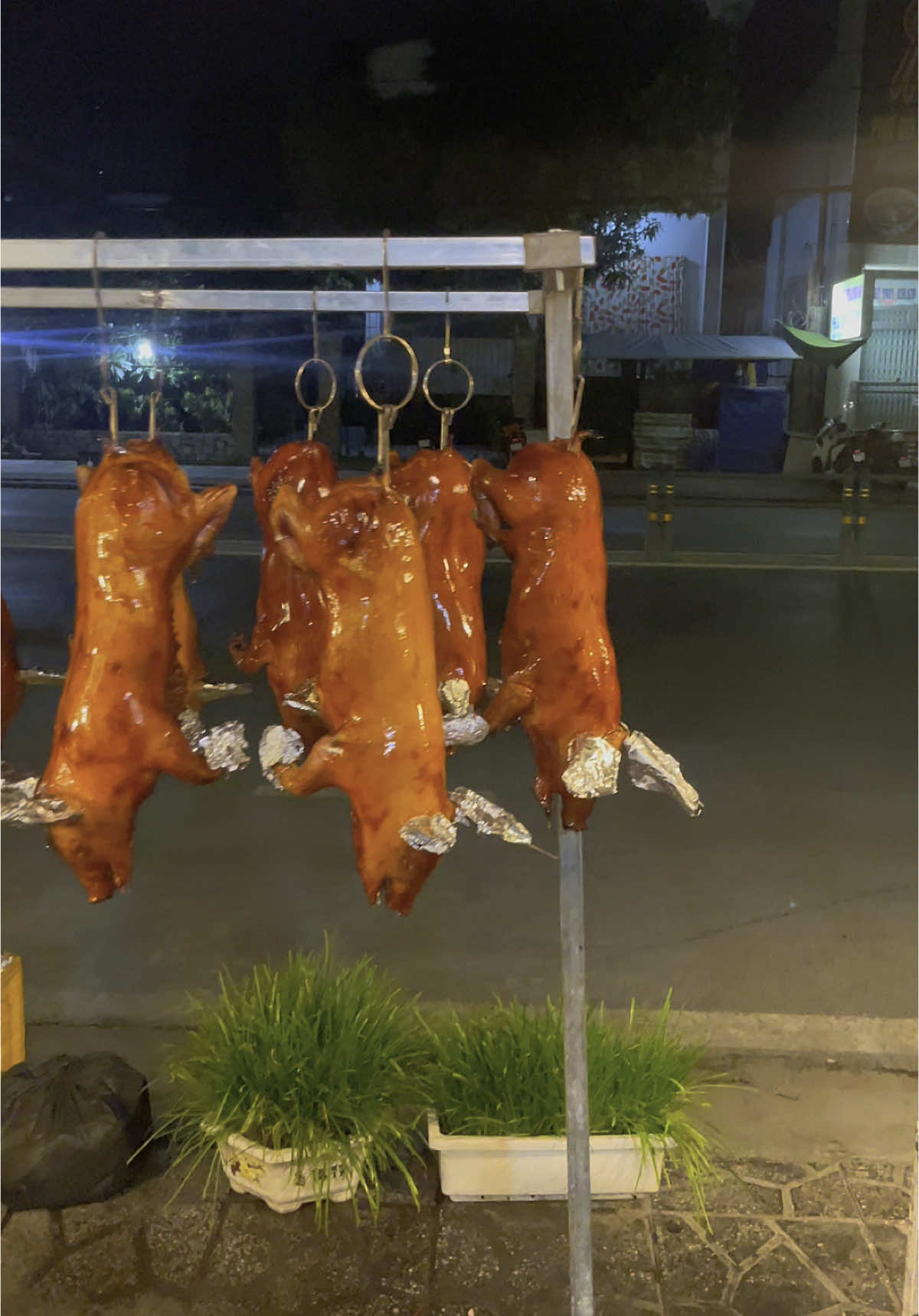 HEO SỮA QUAY CÚNG ĐÁM TIỆC, 39E Trần Hoàng Na, 0939.65.30.49. #namnuongmientay #namnuongmientay1 #heoquaynguyencon #heohyunjoon #calocnuong #heoquaycungcosau #barọiquaygiòn #heochan #baroiquaymieng #heoquaysua #cálócnướng #calocnuongtrui #heodonglanh #heoquaynguyêncon #heoquaycungbachuaxu #baroiquaylu #heoyoungsaeng #heoquaynguyencon #heoquaydagiòn #baroiquay #heoquaviaba #heoquaynguyencon #heojunjae #barọiquay #heodat #heo #heoquaydagion #heoquay #heoquaybánhhỏi #heoquaynguyêncon #heoquaycung