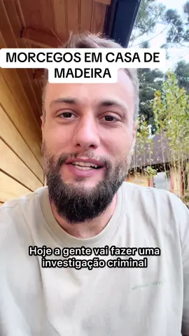 Os morcegos podem entrar em frestas na casa de madeira #biologia #controledepragas 