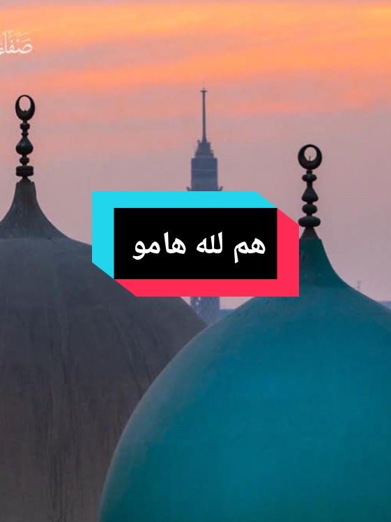 هم لله هامو  #مدح #مدح_ف_حب_رسول_الله #اولياء_الله_الصالحين #ال_البيت #انشاد #مديح #ابتهال #امين_الدشناوي 